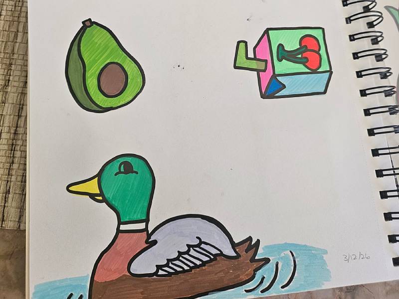 Avocado, Juice box, and a duck using acrylic paint markers
