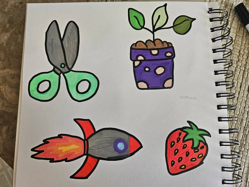 Scissors, rocket, plant, and strawberry doodle